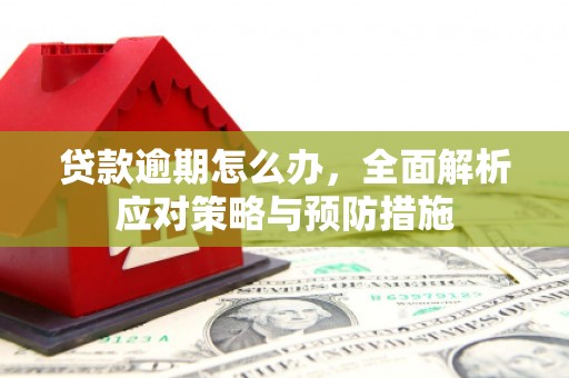 光泽贷款逾期怎么办，全面解析应对策略与预防措施