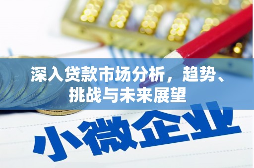 光泽深入贷款市场分析，趋势、挑战与未来展望
