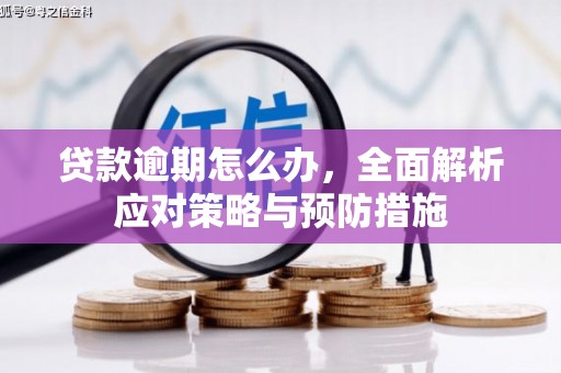 光泽贷款逾期怎么办，全面解析应对策略与预防措施