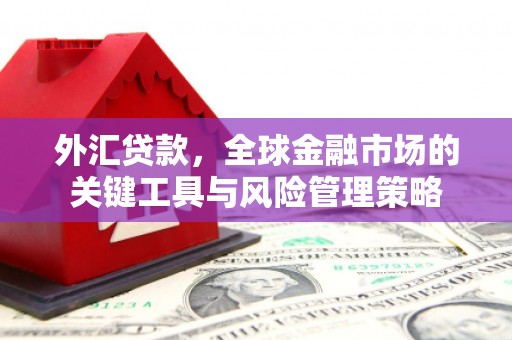 光泽外汇贷款，全球金融市场的关键工具与风险管理策略