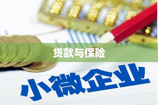 光泽贷款与保险