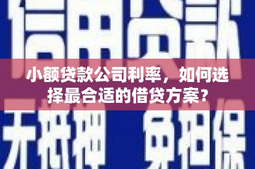 光泽小额贷款公司利率，如何选择最合适的借贷方案？