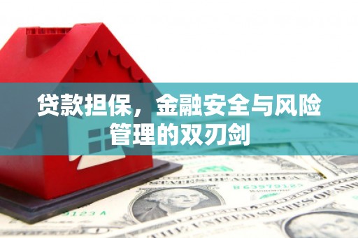 光泽贷款担保，金融安全与风险管理的双刃剑