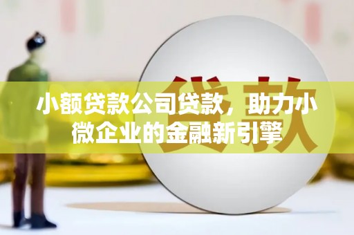 光泽小额贷款公司贷款，助力小微企业的金融新引擎