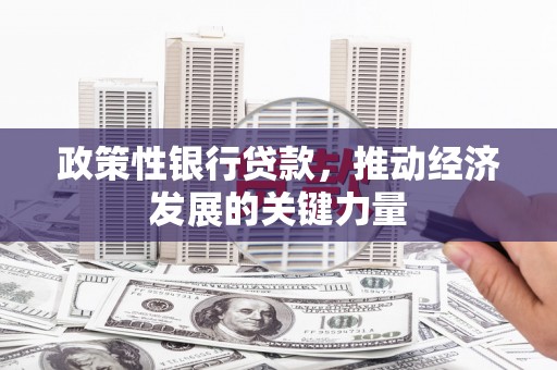 光泽政策性银行贷款，推动经济发展的关键力量