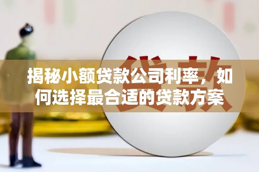光泽揭秘小额贷款公司利率，如何选择最合适的贷款方案