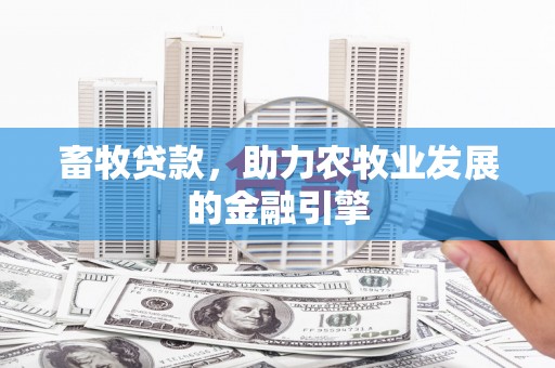 光泽畜牧贷款，助力农牧业发展的金融引擎
