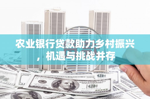 光泽农业银行贷款助力乡村振兴，机遇与挑战并存