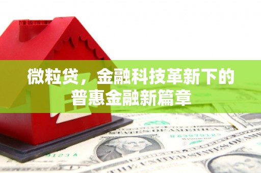 光泽微粒贷，金融科技革新下的普惠金融新篇章