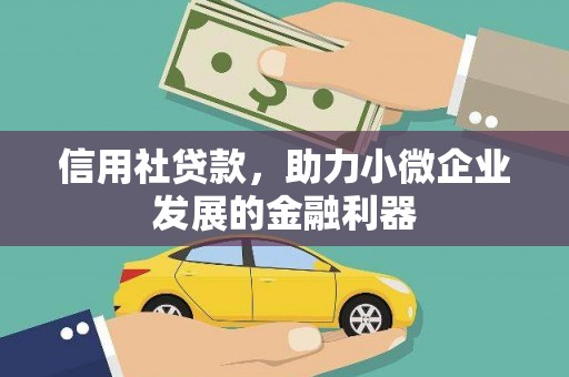 光泽信用社贷款，助力小微企业发展的金融利器