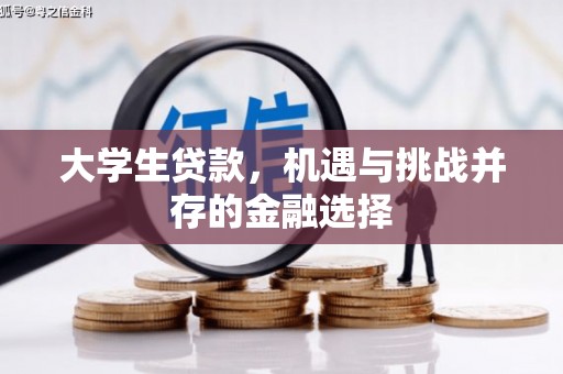光泽大学生贷款，机遇与挑战并存的金融选择