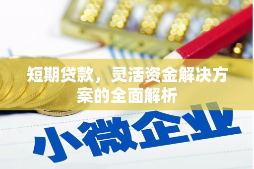 光泽短期贷款，灵活资金解决方案的全面解析