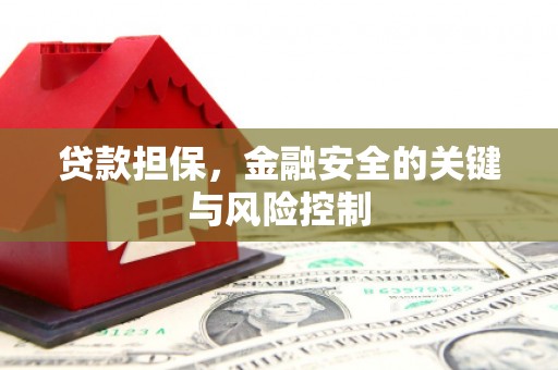 光泽贷款担保，金融安全的关键与风险控制