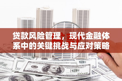 光泽贷款风险管理，现代金融体系中的关键挑战与应对策略