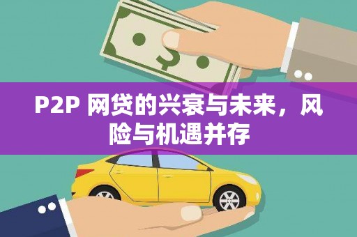 光泽P2P 网贷的兴衰与未来，风险与机遇并存