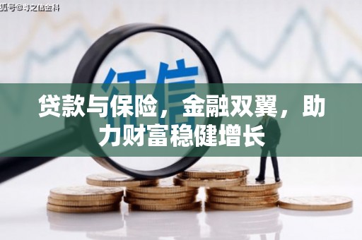 光泽贷款与保险，金融双翼，助力财富稳健增长
