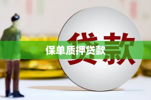 光泽保单质押贷款