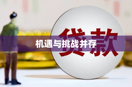 光泽机遇与挑战并存