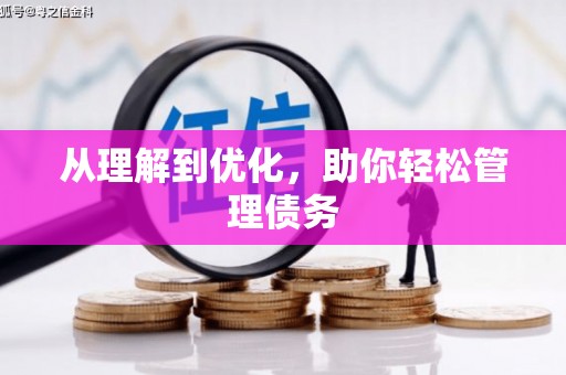 光泽从理解到优化，助你轻松管理债务