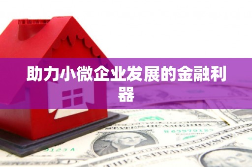 光泽助力小微企业发展的金融利器