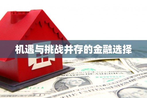 光泽机遇与挑战并存的金融选择
