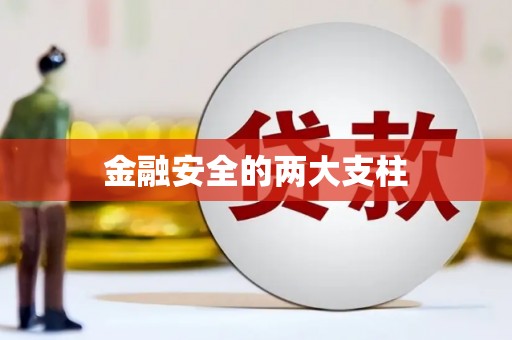 光泽金融安全的两大支柱