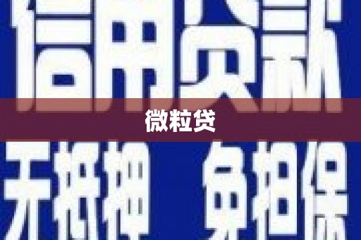 光泽微粒贷