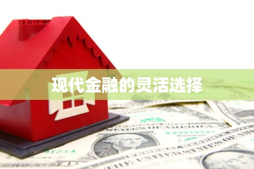光泽现代金融的灵活选择