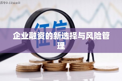 光泽企业融资的新选择与风险管理