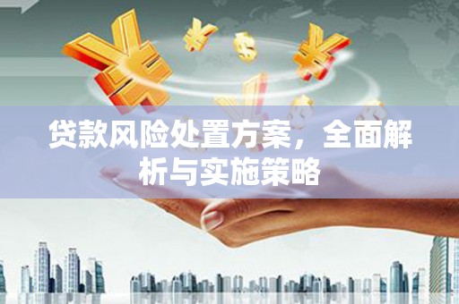 光泽贷款风险处置方案，全面解析与实施策略