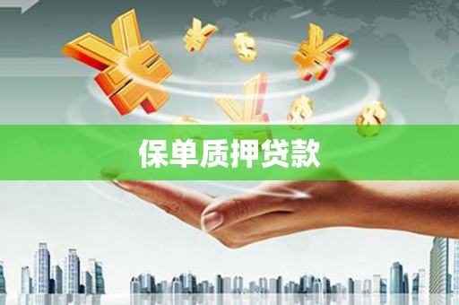 光泽保单质押贷款