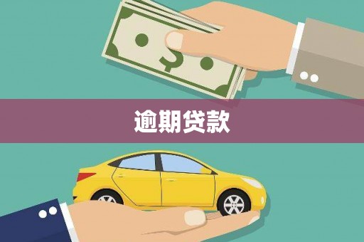 光泽逾期贷款