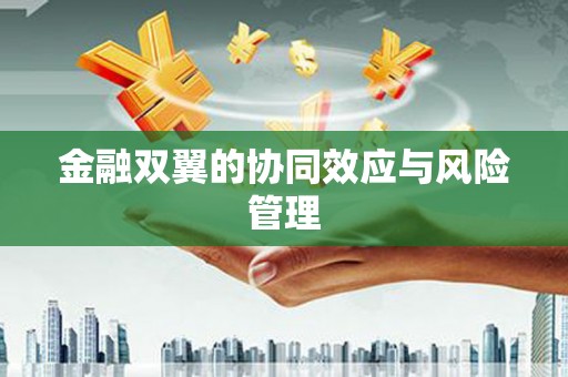 光泽金融双翼的协同效应与风险管理
