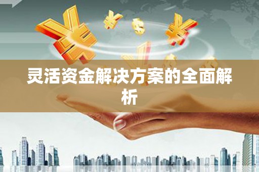 光泽灵活资金解决方案的全面解析