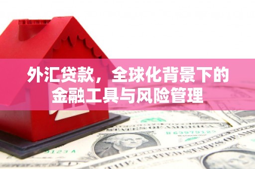 光泽外汇贷款，全球化背景下的金融工具与风险管理