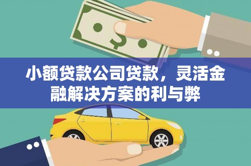 光泽小额贷款公司贷款，灵活金融解决方案的利与弊