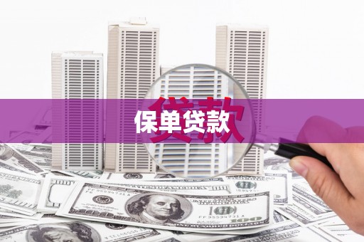光泽保单贷款